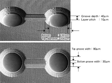 Biochip (cell fusion tray)